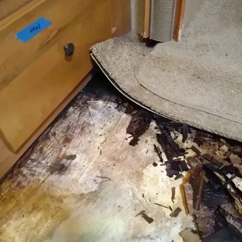 Best Wood Floor Water Damage Service in Brighton, NY